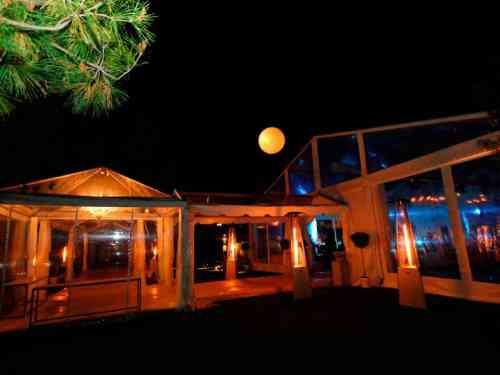 Carpas en jardín