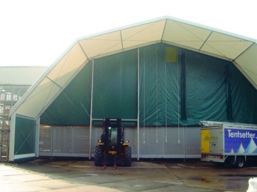 CARPA POLIGONAL