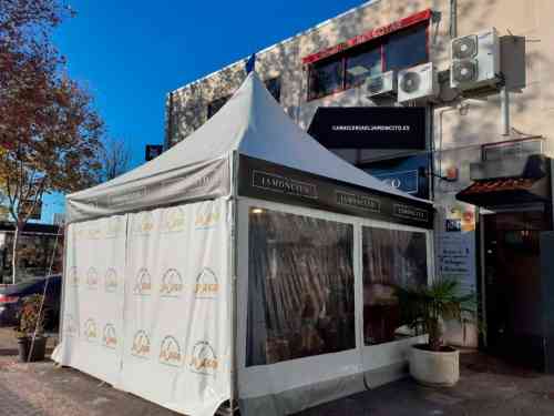 CARPA PEQUEÑO FORMATO 