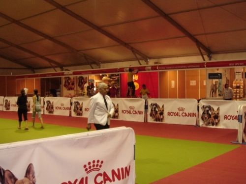 FERIA CANINA EN CARPA