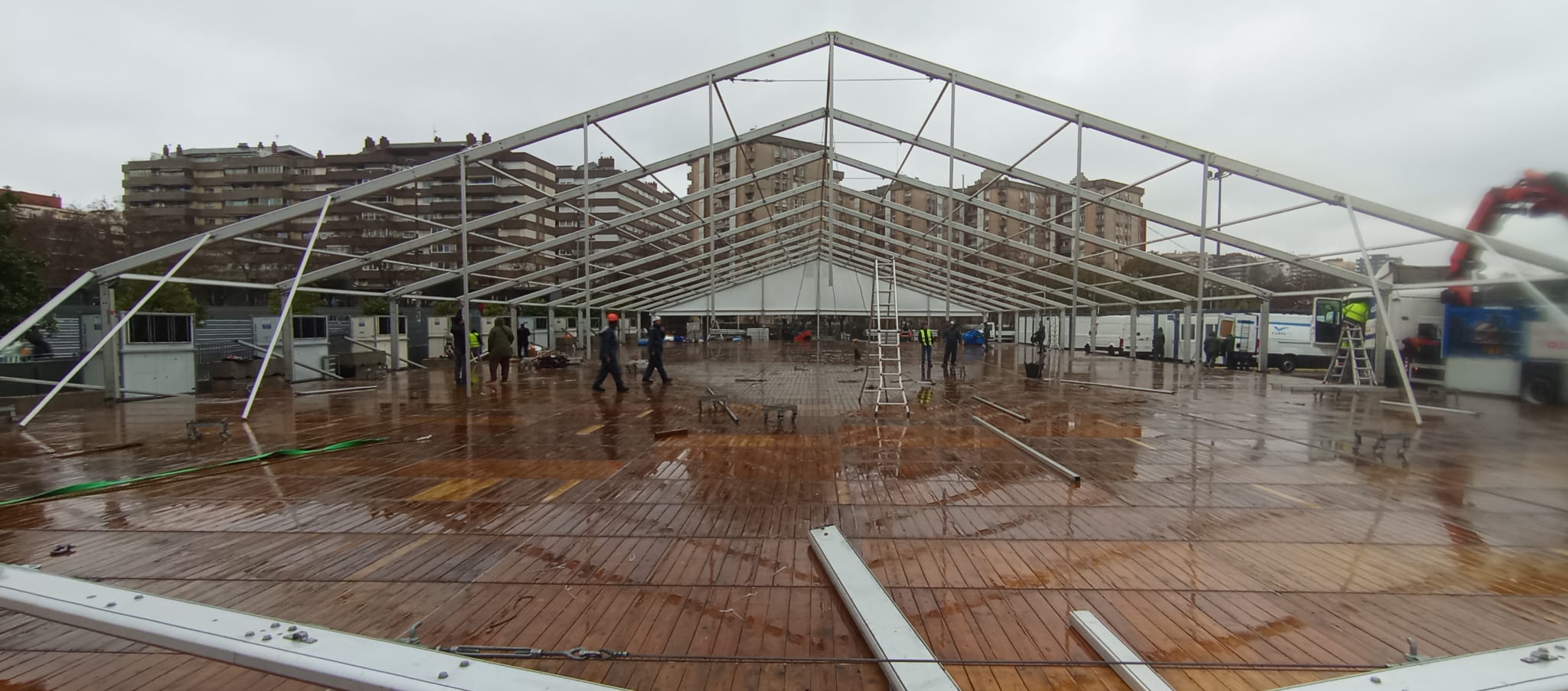 Carpa diafana